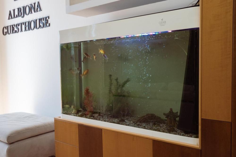 Albjona Guesthouse Tiranë Luaran gambar